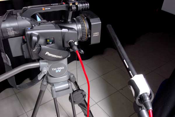 Telecamera Panasonic AG-DVX100BE, Cavalletto Libec TH-950, Microfono shotgun Sennheiser MKH-416